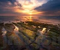 森林舞会打流水-森林舞会，自然韵律与流水之歌