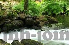 西班牙足球比分-西班牙足球比分,激情与荣耀的数字交响