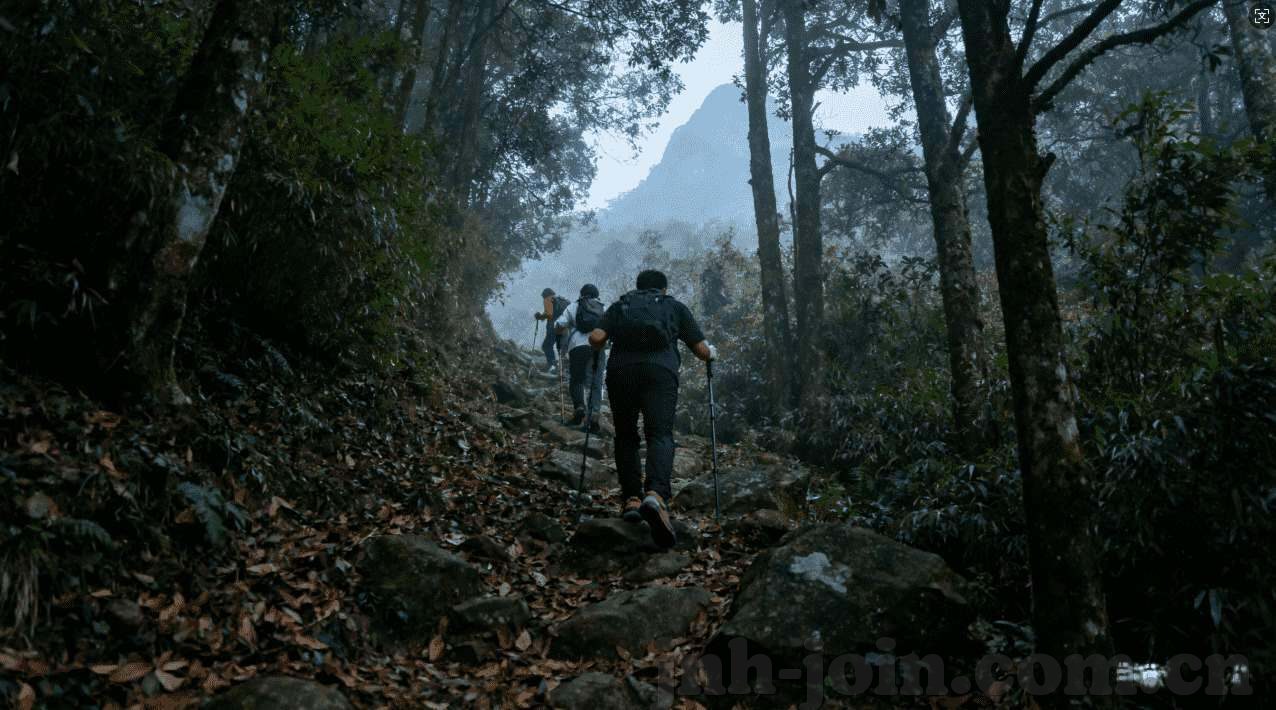 炸金花苹果-炸金花苹果，一场意外的味觉盛宴